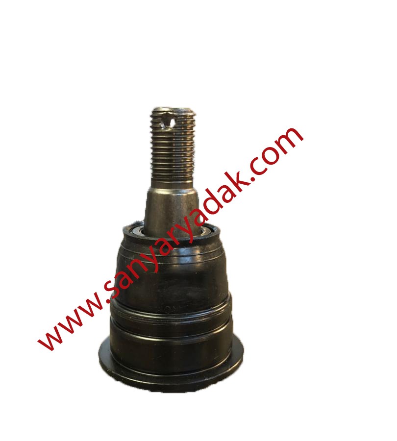 سیبک طبق اصلی ماکسیما سیبک طبق اصلی ماکسیما
